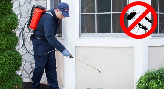 Cumayeri Bit İlaçlama böcek ilaçlama ve haşere kontrolü — ilaclama-tr.com